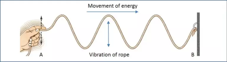 Nature Of Electromagnetic Waves, Class 12 - Laws Of Nature