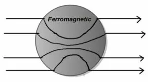 Difference Between Paramagnetic, Diamagnetic, And Ferromagnetic ...